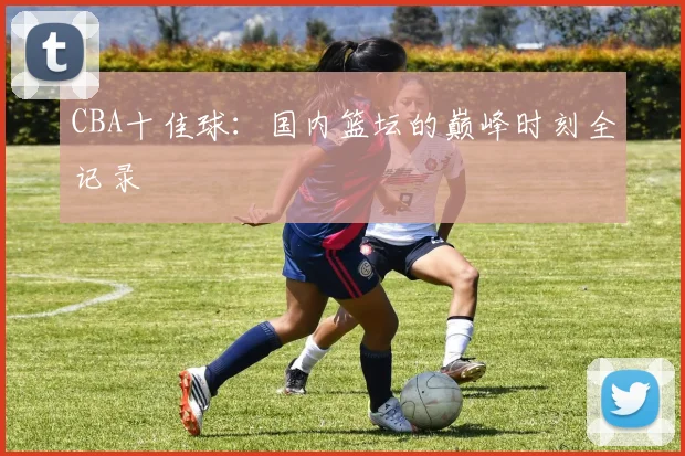 CBA十佳球：国内篮坛的巅峰时刻全记录